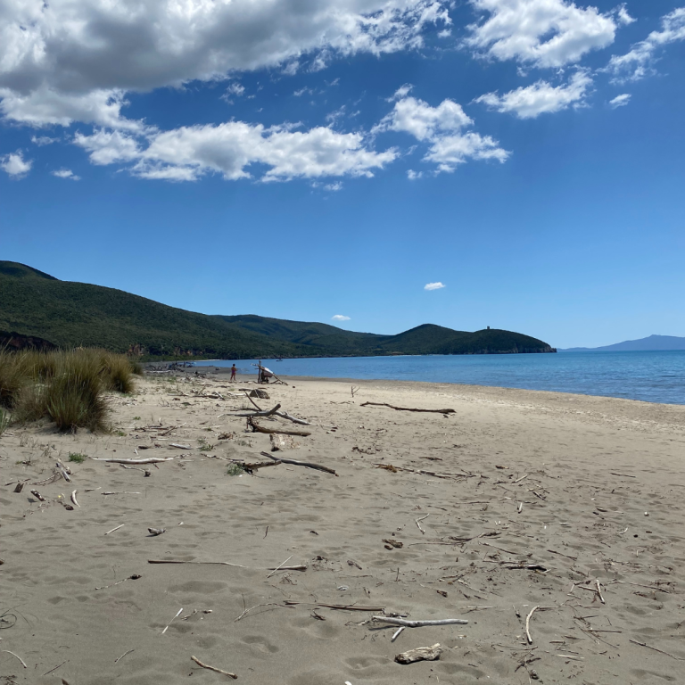 Progetto senza titolo